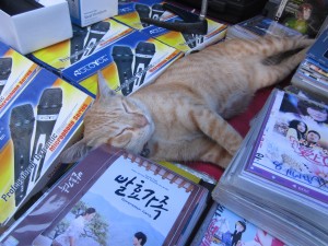 Bootleg DVDs for sale in Bangkok