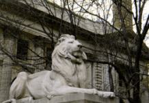NYPL_Lion-300x179.png