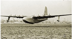 SpruceGoose_thumb3.png